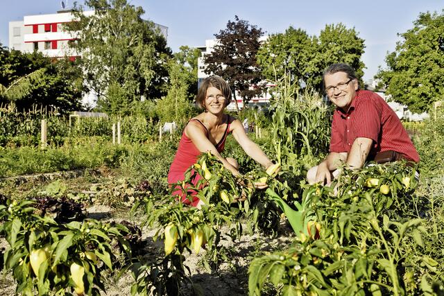 Morgentau-Gärtner freuen sich auf den Saisonstart. | Foto: Morgentau
