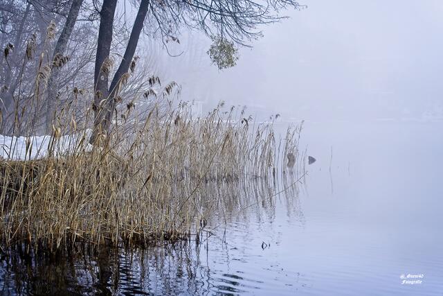 ..........es dauert noch etwas,bis sich der Nebel verzieht.....