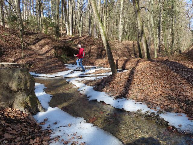 Sepp kennt diese Waldgegend in-und auswendig - jeden Bauer - jeden Holzfäller - jede Wiese – nahezu jede Hausbewohner - jeden Vulgo-Namen - jede Wegabkürzung - jede sichtbare Veränderung.