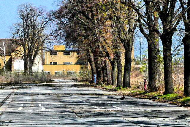 Und wo noch vor 10 Jahren Fasane ungestört unterwegs waren, stehen jetzt große Mehrfamilienwohnhäuser