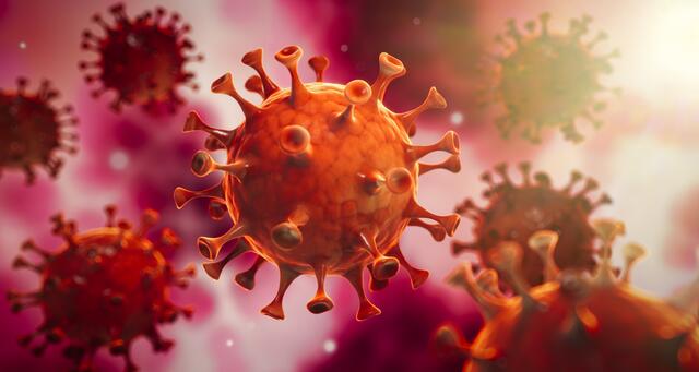 Seit einem Jahr bestimmt das Coronavirus unser Leben.  | Foto: Foto: peterschreiber.media.stock.adobe.com