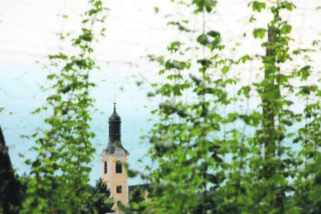 Der Leutschacher Höllerweg wird am 25. Februar im Fernsehen thematisiert.