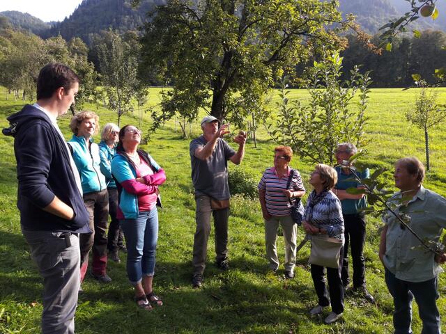In "normalen" Zeiten, würden dieser Tage in vielen Obst- und Gartenbauvereinen (OGV) Kurse und Infoveranstaltungen zum Baumschnitt und der Gartenarbeit stattfinden, so auch beim OGV Kufstein, der 2019 in Wörgl einen Ausflug nach Wörgl machte. Auf Grund der Pandemie, muss man heuer noch abwarten.