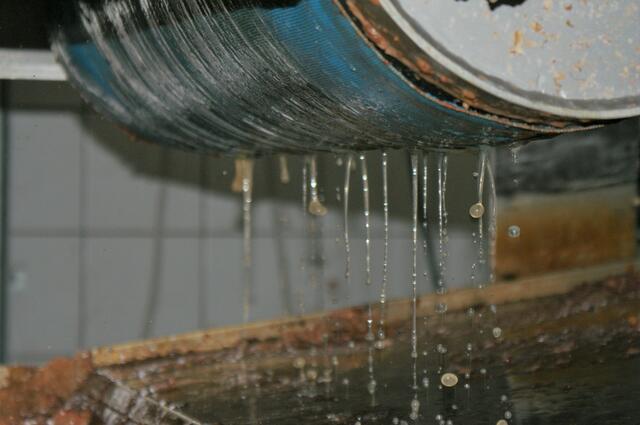 Das Obst wurde im Herbst gepresst und ist jetzt zu herrlich spritzigem Most herangereift. | Foto: Allerstorfer