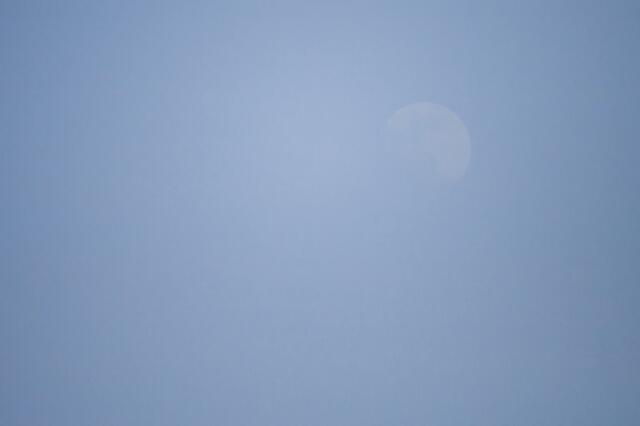 Bild 03_# 3411: am 23.02.2021 um 16 Uhr. Die Sonne steht schon im Rücken des Fotografen und der zunehmende Mond ist schemenhaft im staubhaltigen Himmel wahr zu nehmen. | Foto: © by Ing. Günter Kramarcsik