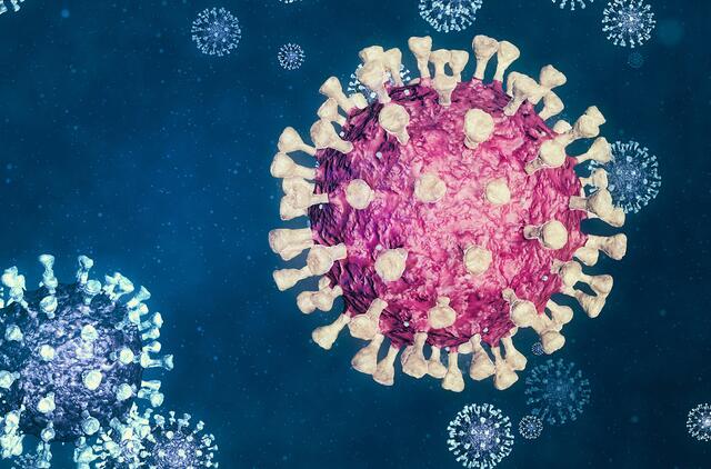 Die Südafrikanische Variante des Corona-Virus wurde in zwei Fällen im Bezirk Vöcklabruck nachgewiesen.