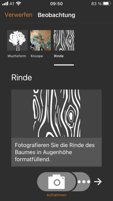 Unser App-Tipp der Woche "Flora Incognita" ist eine kostenlose App zur Pflanzenbestimmung über selbst gemachte Fotos. Flora Incognita gibt es für IOS und Android. | Foto: Screenshot