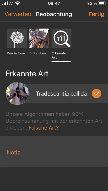 Unser App-Tipp der Woche "Flora Incognita" ist eine kostenlose App zur Pflanzenbestimmung über selbst gemachte Fotos. Flora Incognita gibt es für IOS und Android. | Foto: Screenshot