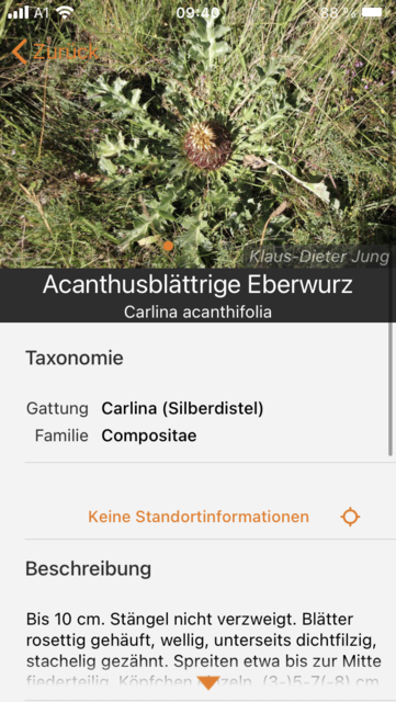 Unser App-Tipp der Woche "Flora Incognita" ist eine kostenlose App zur Pflanzenbestimmung über selbst gemachte Fotos. Flora Incognita gibt es für IOS und Android. | Foto: Screenshot