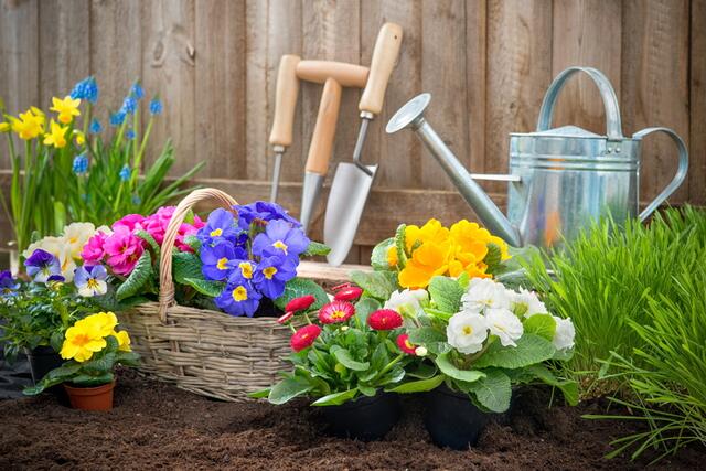 Jetzt beginnt die Gartensaison