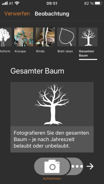 Unser App-Tipp der Woche "Flora Incognita" ist eine kostenlose App zur Pflanzenbestimmung über selbst gemachte Fotos. Flora Incognita gibt es für IOS und Android. | Foto: Screenshot