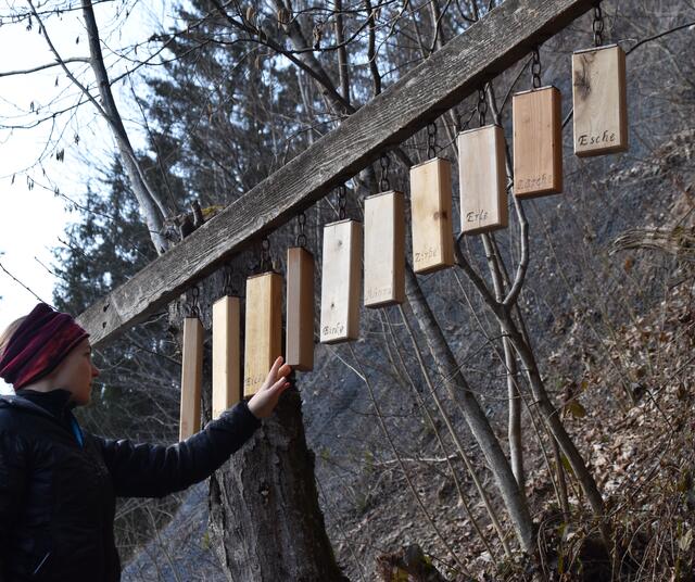 Redakteurin Barbara erkundete den Holzweg in Auffach am eigenen Leib und fand auf ihrer Tour neben einsamer Ruhe auch viel Neues rund ums Thema Holz.  | Foto: Barbara Fluckinger