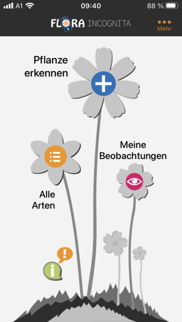 Unser App-Tipp der Woche "Flora Incognita" ist eine kostenlose App zur Pflanzenbestimmung über selbst gemachte Fotos. Flora Incognita gibt es für IOS und Android. | Foto: Screenshot