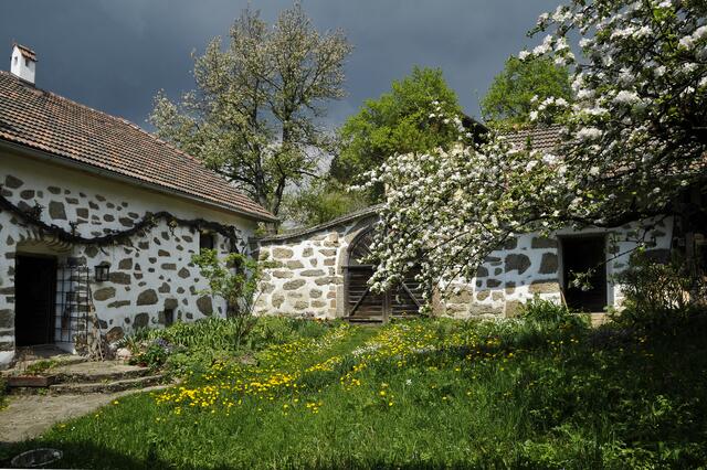 So sieht ein idealer Garten aus Finkensicht aus – dieser bietet den Tieren genug Futter  | Foto: Foto: KK 