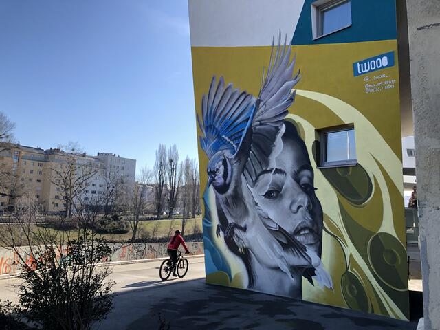 Die zum Donaukanal weisende Seite der Anlage wurde bunt bemalt.