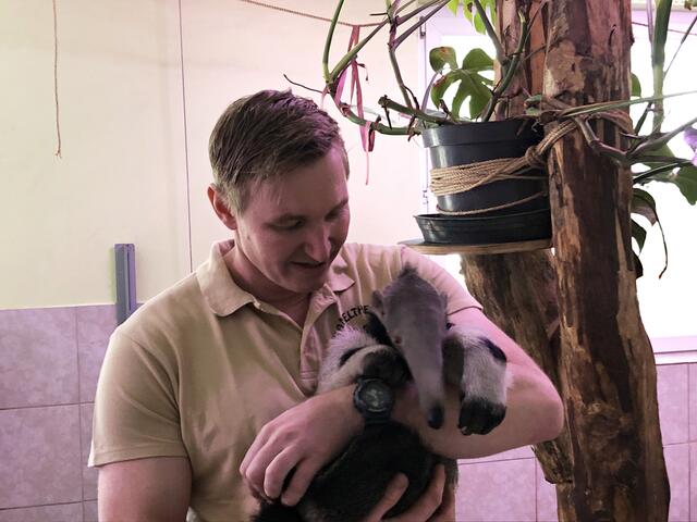 Geschäftsführer Rainer Zöchling mit dem tierischen Star.