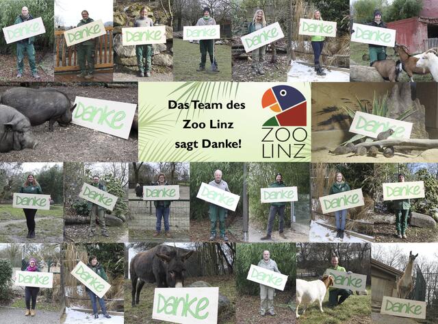 Die Mitarbeiter des Linzer Zoos bedanken sich für die Unterstützung der Linzer.