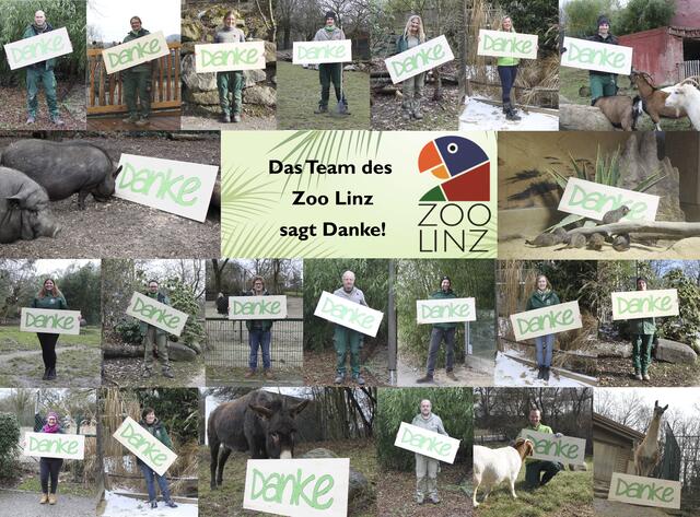 Die Mitarbeiter des Linzer Zoos bedanken sich für die Unterstützung der Linzer. | Foto: Zoo Linz