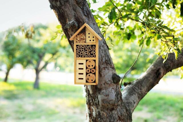 Das WEZ sucht Insektenhotels, die originellsten und buntesten werden prämiert. Auch die Größe zählt.