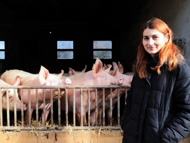 VP-Agrarsprecherin Carina Laschober-Luif mit ihren Schweinen am eigenen landwirtschaftlichen Betrieb. | Foto: ÖVP Burgenland