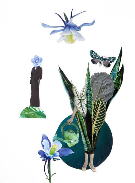 Collage 2 | Foto: Carina Aigner