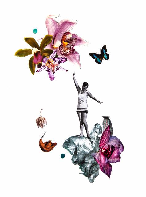 Collage 8 | Foto: Carina Aigner