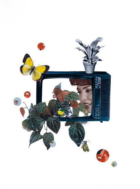 Collage 6 | Foto: Carina Aigner