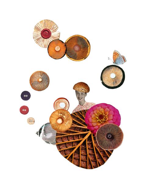 Collage 4 | Foto: Carina Aigner