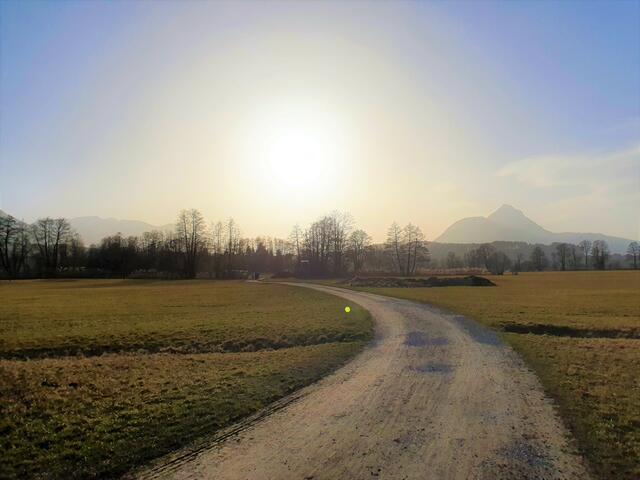 Die Walser/Goiser Wiesen in Wals in der Nähe der Stadt Salzburg bei Sonnenuntergang mit Saharastaub in der Luft