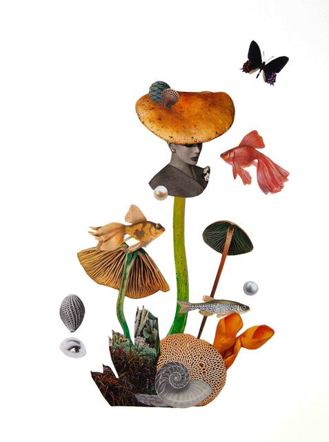 Collage 7 | Foto: Carina Aigner