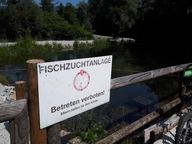 Der Fischereiverein Hallein hat zur Selbsthilfe gegriffen.