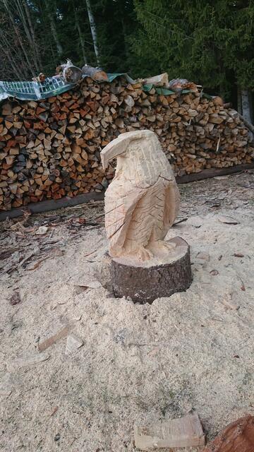 Um welchen Adler es sich auch handelt, für einen ersten Prototyp, sieht er echt gut aus. | Foto: Günther Koch 