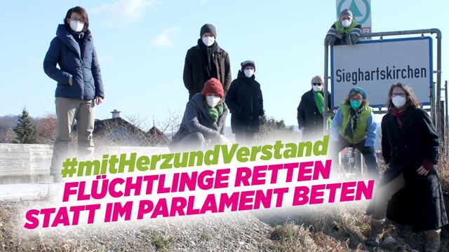 Die Grünen setzen sich für Bleiberecht ein