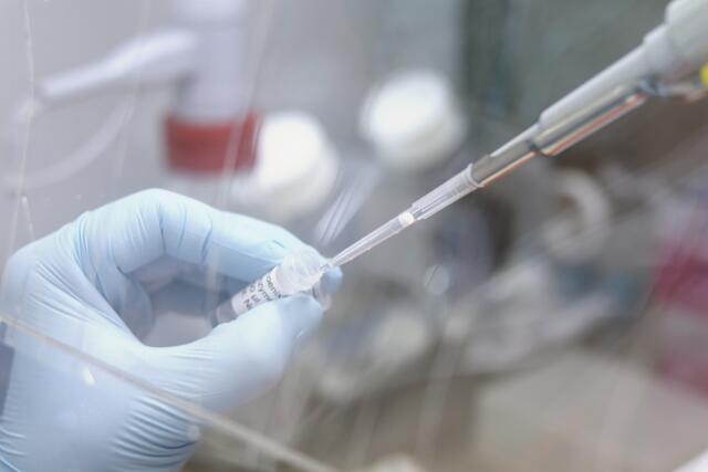 Ein positiver PCR-Test allein stellt zwar eine Infektion fest, gibt jedoch noch keine Auskunft darüber, welche Mutation des COVID-19-Virus vorliegt. Novogenia kann innerhalb von 24 Stunden auch die gängigen Varianten des Virus mittels Mutationsscreening feststellen.