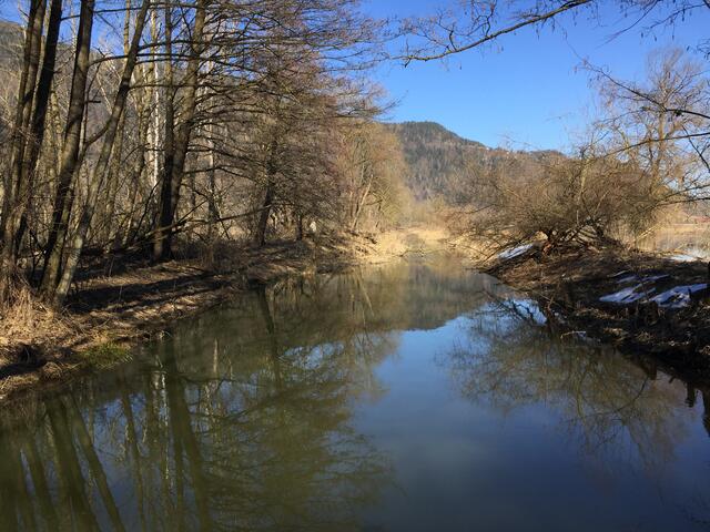 Die Tiebelmündung am Ostufer des Ossiacher-Sees, Natur pur!