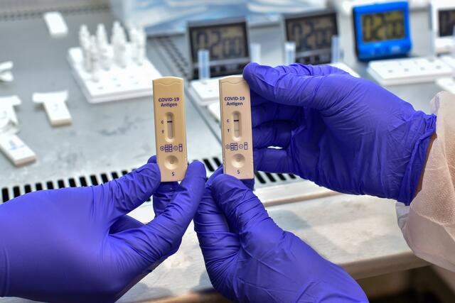 Die Antigen-Schnelltests werden in vier Apotheken im Bezirk Deutschlandsberg durchgeführt.