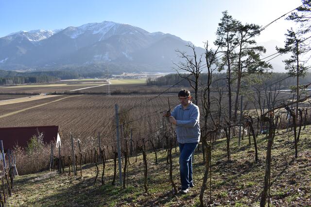 Martin Kušej beim Rebschnitt | Foto: RMK