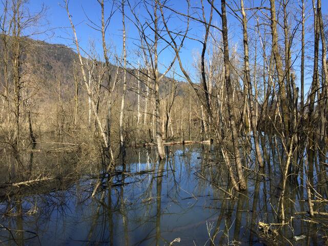 Hier hat sich die Natur wieder das Paradies zurückgeholt.