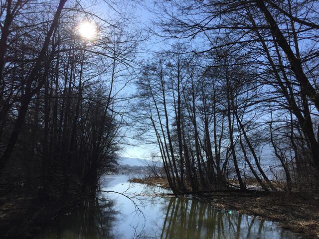Hier mündet die Tiebel in den Ossiacher-See. Ein Spaziergang entlang des Weges im Bleistätter Moor gibt Ruhe und Frieden.