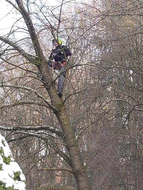 Glücklich schätzt man sich, wenn man solche Nachbarn hat.