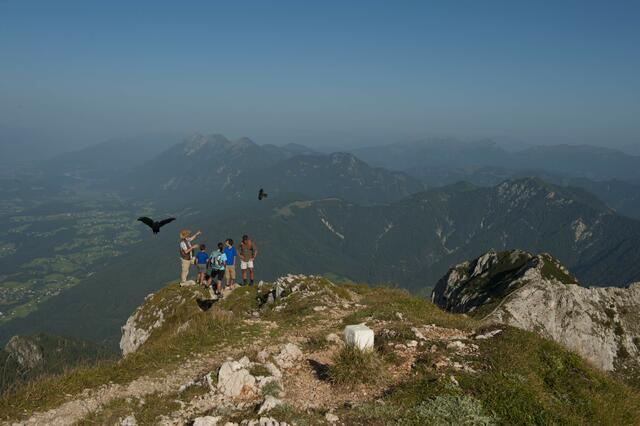 Österreichs Naturparks begeistern die Besucher. | Foto: Franz Gerdl