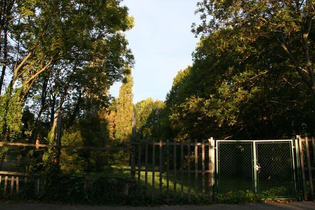 Das Stadtwäldchen ist gerettet. Und beim Schulbau soll auch eine Verkehrsberuhigung folgen.