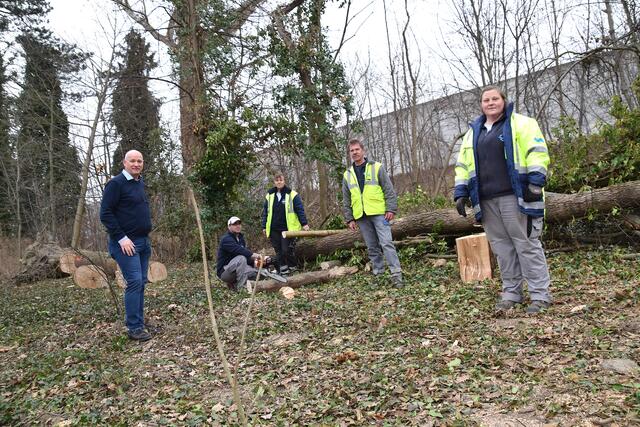Arbeiten im Donaupark: Alfred Zimmermann mit Leo Peschek, Sylvia Gerstl, Peter Konrad und Ingrid Prager. | Foto: Sandra Schütz
