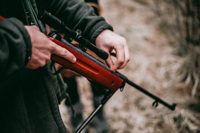 Für viele Frauen in Niederösterreich ist das Jagen mehr als nur ein Hobby - es ist ihre Leidenschaft.