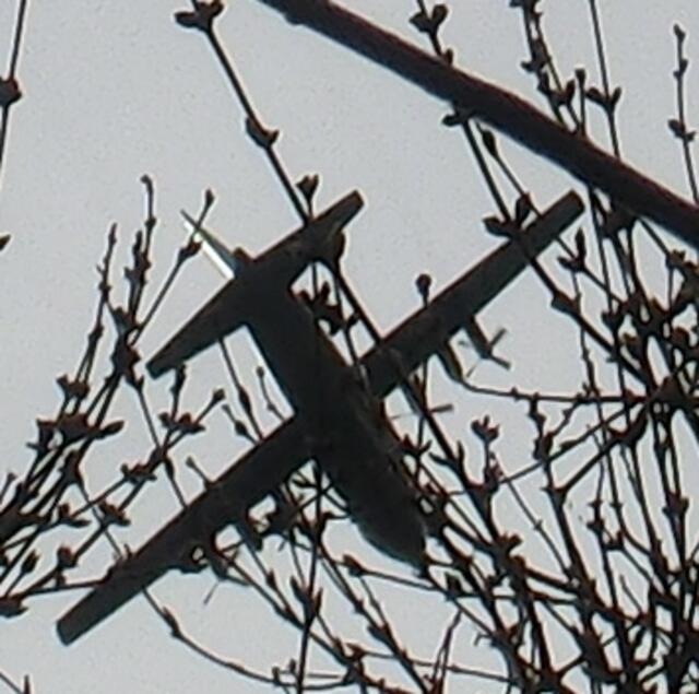 Das Militärtransportflugzeug sorgte für Aufsehen.