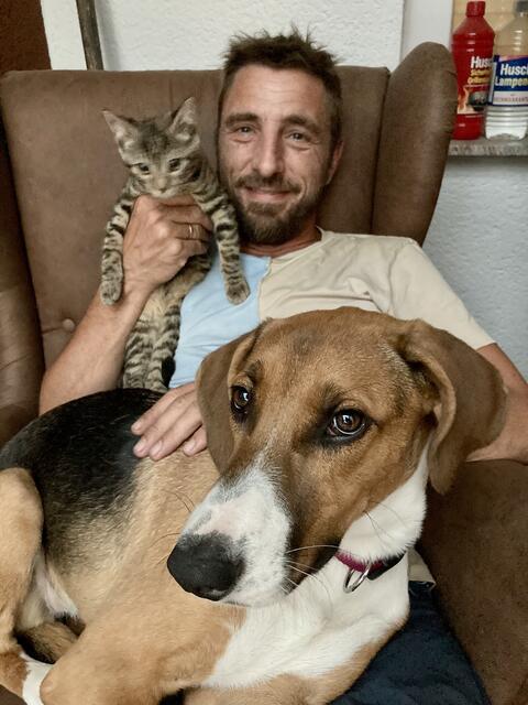 Hunde, Katzen oder Schafe: Martin Haider hat ein Herz für Tiere.