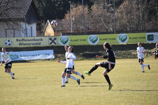 Foto: Michael Strini