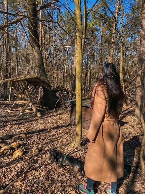 Im Wald Hunde an die Leine