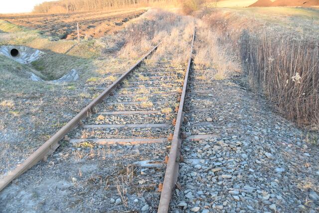 Eine überparteiliche Initiative fordert eine neue Chance für die "Pinkatalbahn". Hier ein Teil der Schienen zwischen Burg und Schandorf. | Foto: Michael Strini