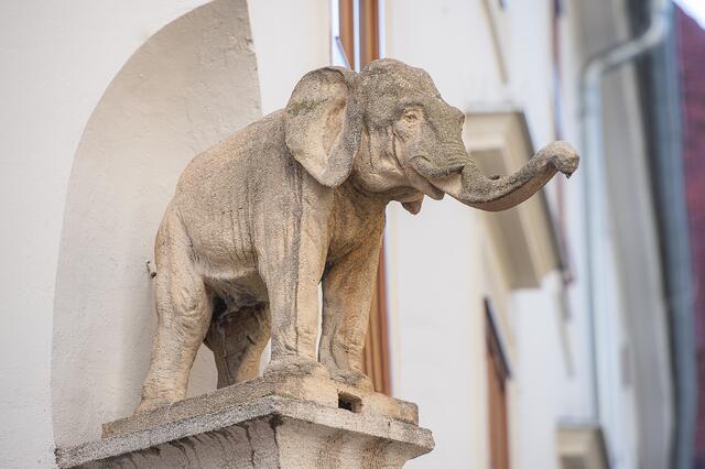 An der Hausecke wacht Graz' erster Elefant über die Neue Welt.  | Foto: Jörgler